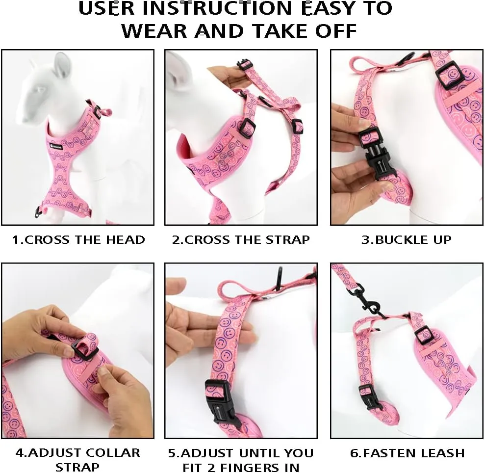 Adjustable Dog Harness and Leash Set for Girl Air Mesh Dog Vest Harness 5Ft Dog Training Leash with Soft Handle Pet Escape Proof for Small Medium Large Dogs (Dinosaur, L)