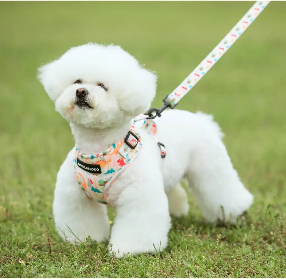 Adjustable Dog Harness and Leash Set for Girl Air Mesh Dog Vest Harness 5Ft Dog Training Leash with Soft Handle Pet Escape Proof for Small Medium Large Dogs (Dinosaur, L)