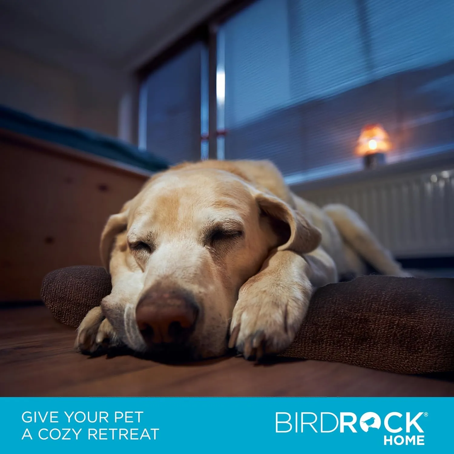 BIRDROCK HOME 2" Memory Foam Dog Beds - Ultra Soft Plush Pet Bed - Removable Cover - Pet - Crate Bed (40 X 26, Brown)