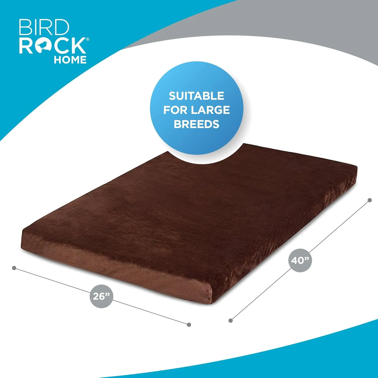 BIRDROCK HOME 2" Memory Foam Dog Beds - Ultra Soft Plush Pet Bed - Removable Cover - Pet - Crate Bed (40 X 26, Brown)