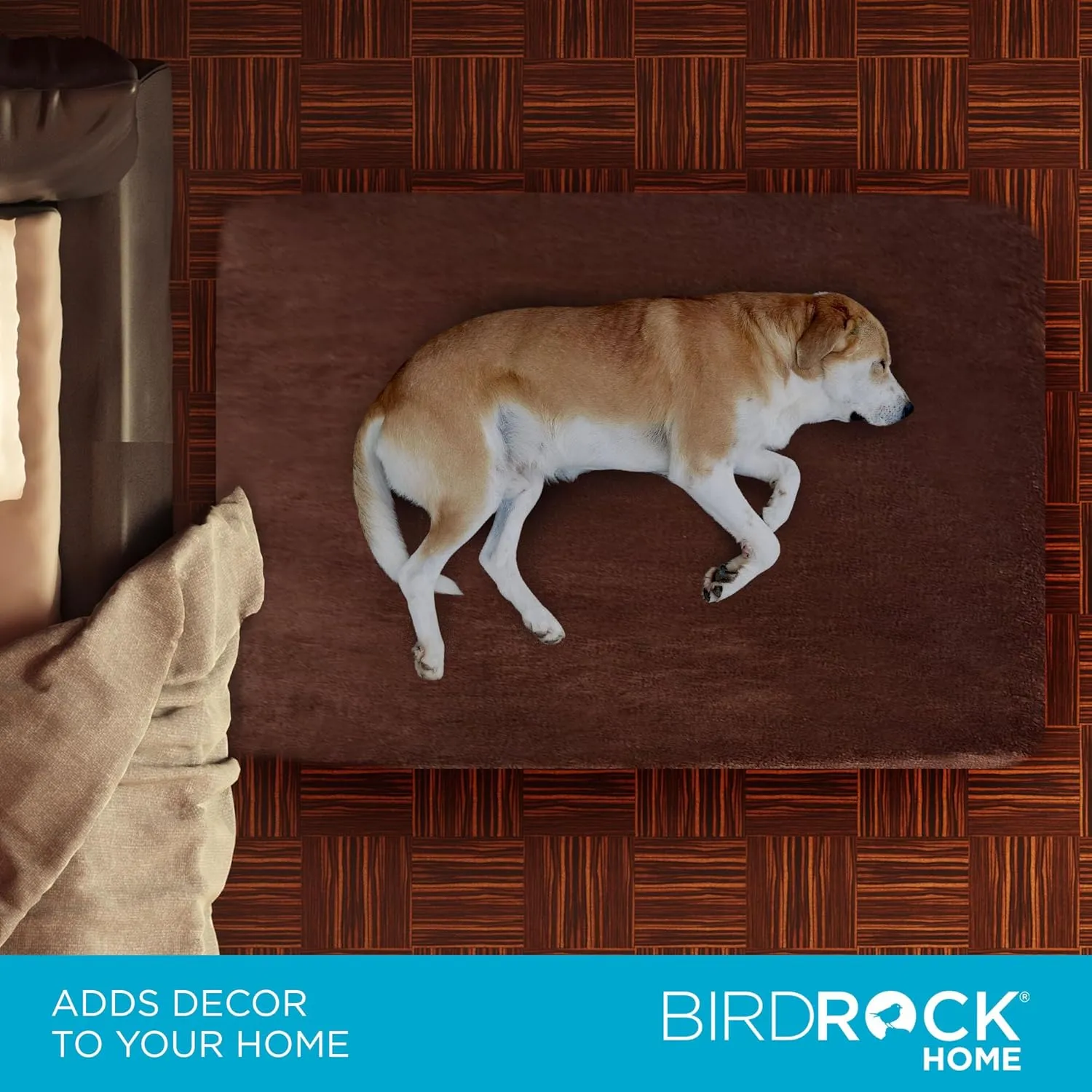 BIRDROCK HOME 2" Memory Foam Dog Beds - Ultra Soft Plush Pet Bed - Removable Cover - Pet - Crate Bed (40 X 26, Brown)