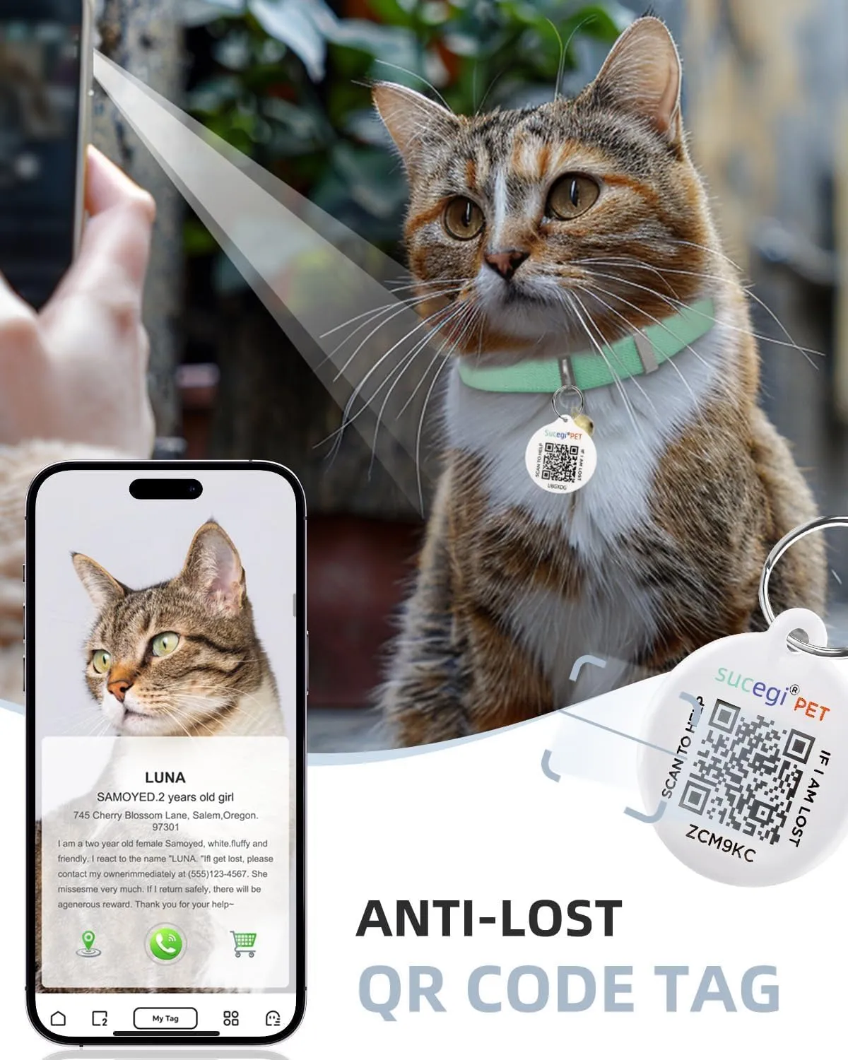 Cat Collar with Bell for Girl & Boy Cats - Non Breakaway Stretch Elastic Quick Release, Lightweight Kitten Collar, Adjustable & Durable Pet Accessories, Gifts for Cat Lovers, Green