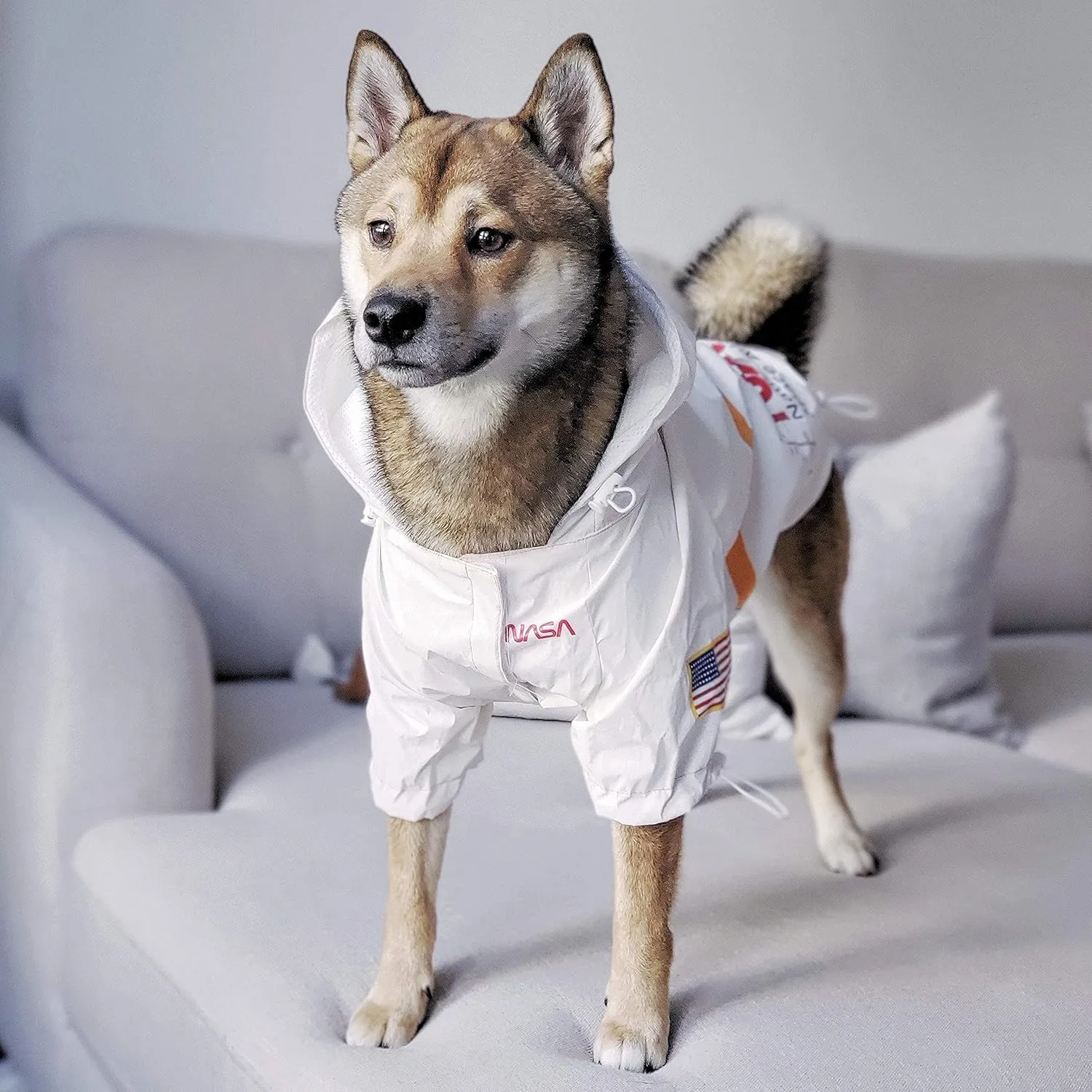 ChoChoCho NASA Dog Raincoats - Reflective Rain Jacket Water Proof, Dog Stylish Streetwear Outfit for Small Medium Large Puppies & Cats (White, 4XL)