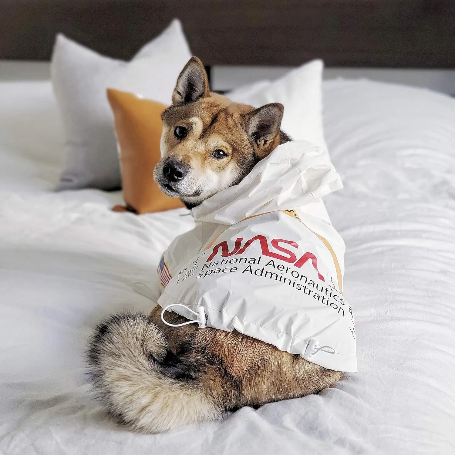 ChoChoCho NASA Dog Raincoats - Reflective Rain Jacket Water Proof, Dog Stylish Streetwear Outfit for Small Medium Large Puppies & Cats (White, 4XL)