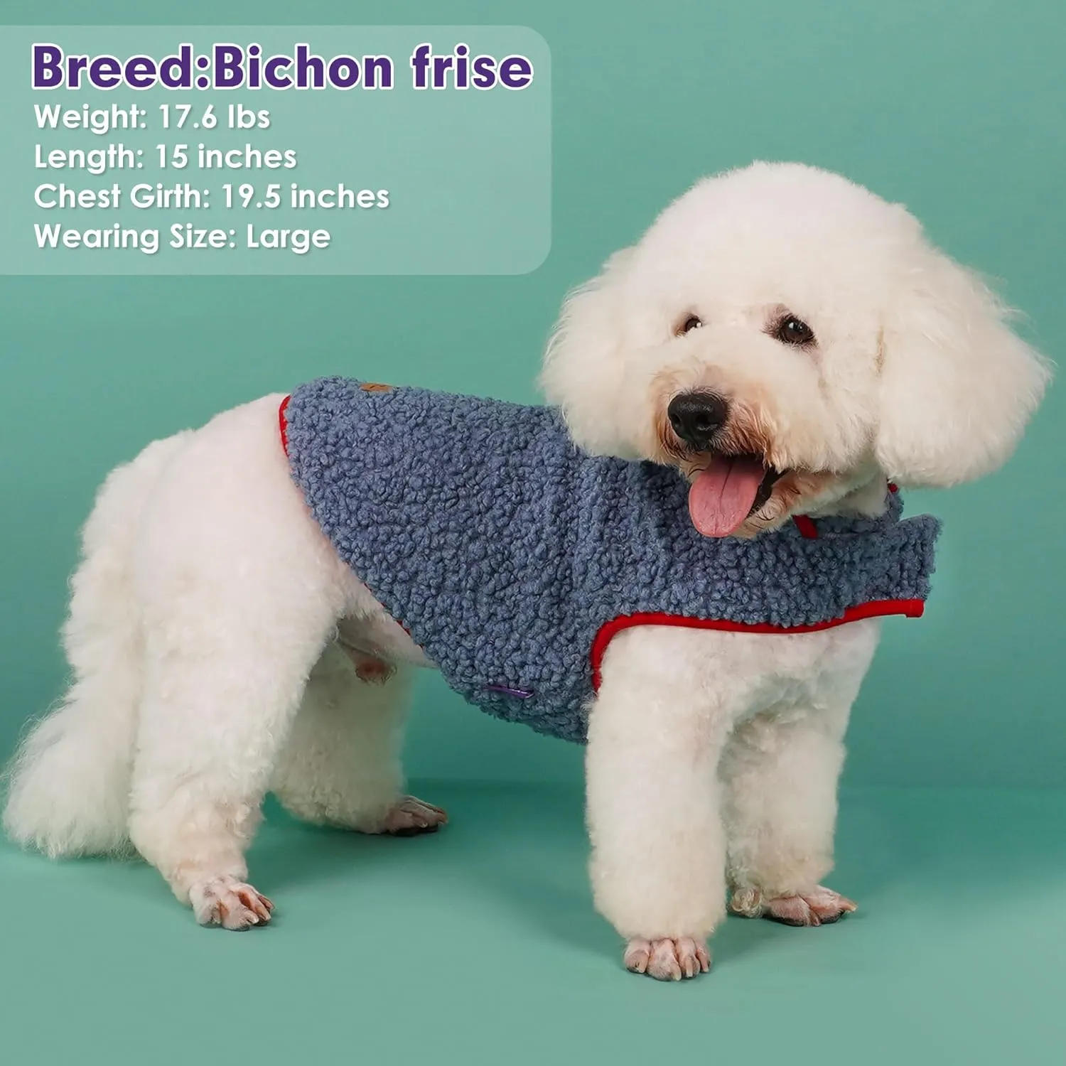 Cyeollo Reversible Sherpa Fleece Dog Jacket - Warm Winter Coats for Small Dogs, Blue XL