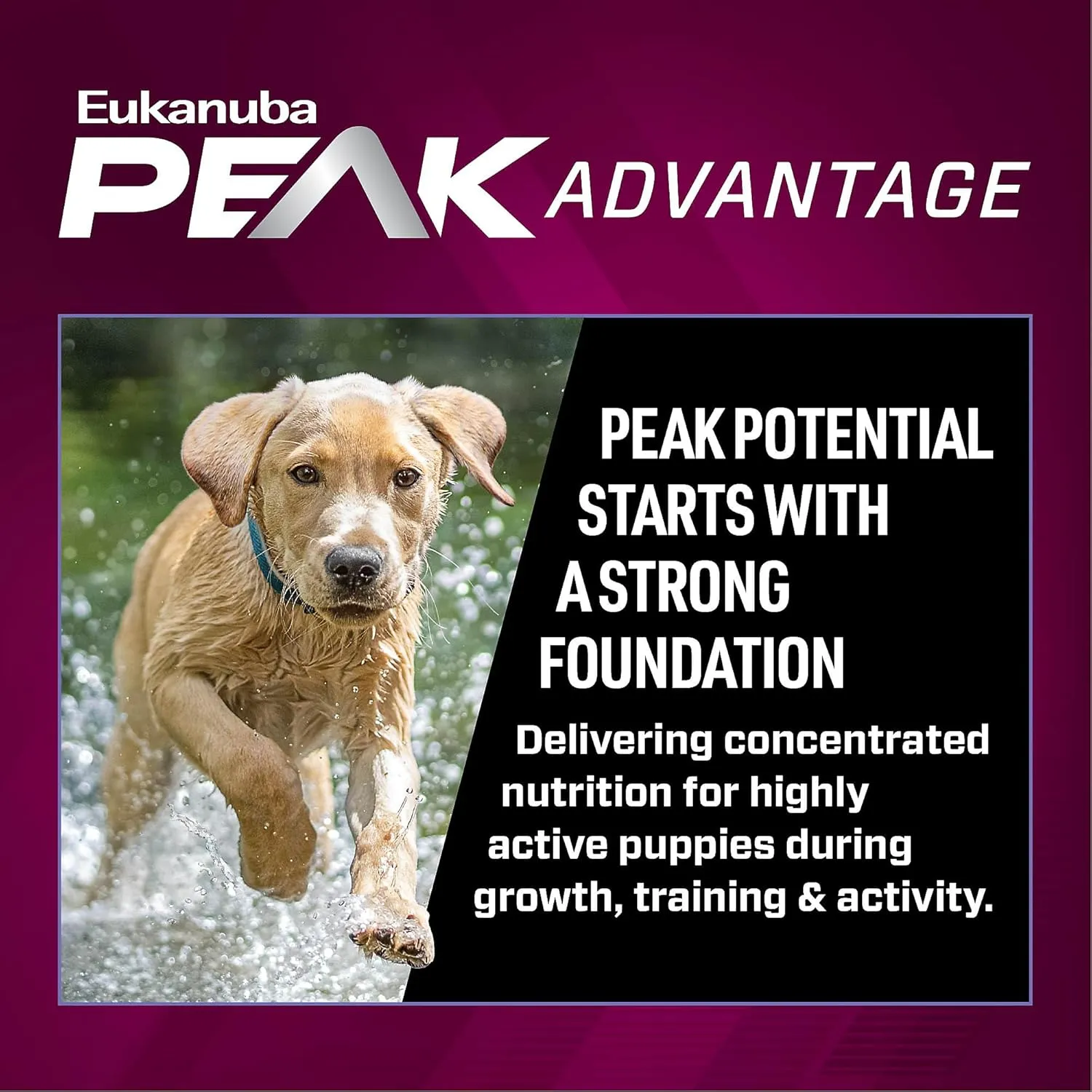Eukanuba Premium Performance Puppy Pro Dry Dog Food, for Healthy Brain Development, Supports Exercise and Digestive Health, 28 lb Bag