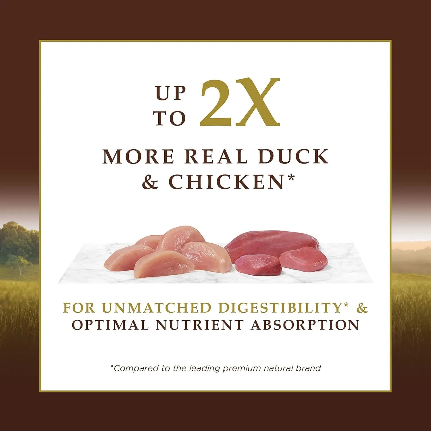 Instinct Ultimate Protein, Natural Dry Cat Food, Grain Free Recipe - Cage Free Duck, 4 lb. Bag