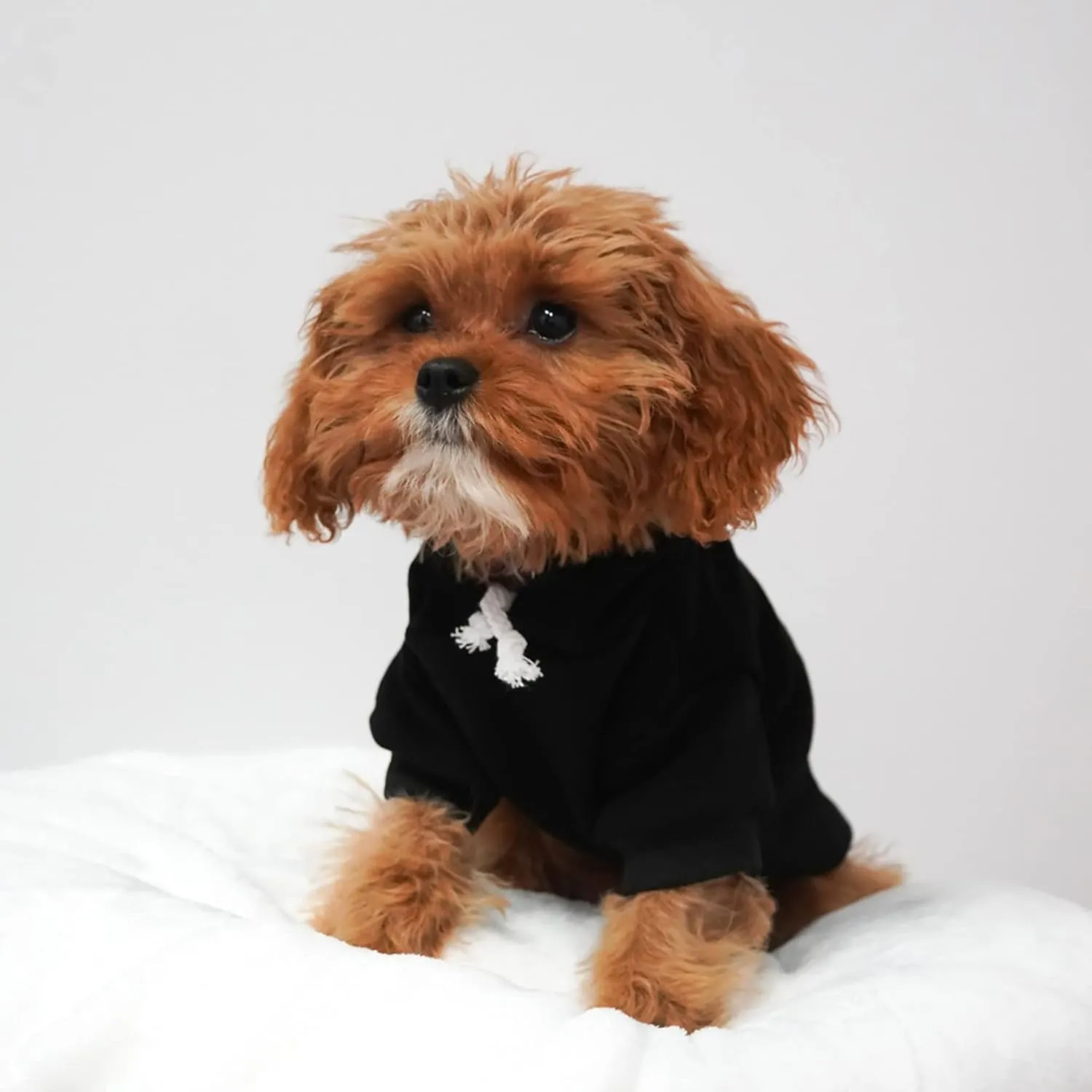 It's My Gotcha Day Dog Hoodie Fleece Lined Pullover Sweatshirt with Leash Hole(Royal Blue, Medium 12)