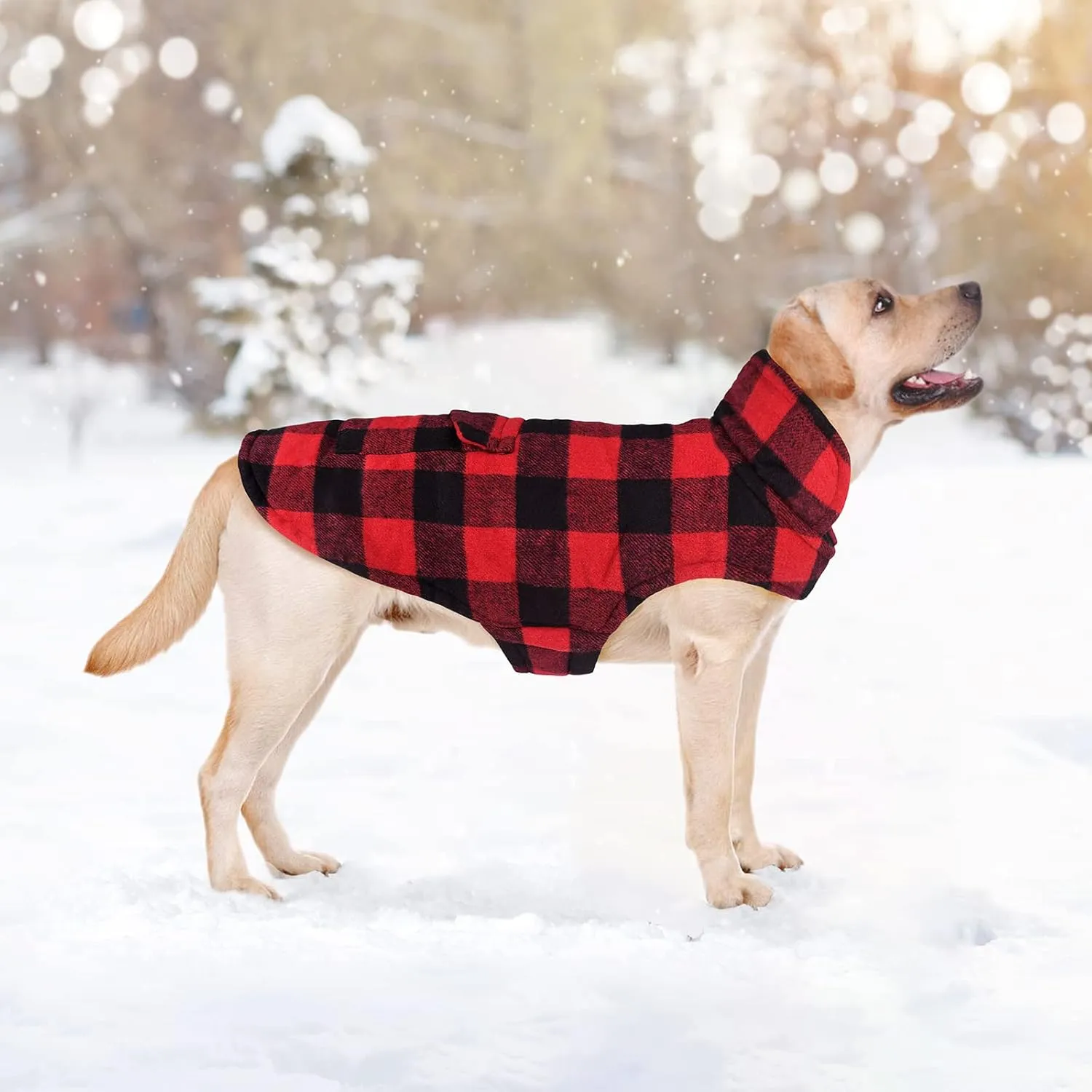Malier Classic Plaid Fleece Dog Coat - Warm Winter Jacket with Pocket, Windproof for Small, Medium, Large Dogs (Red, X-Large)