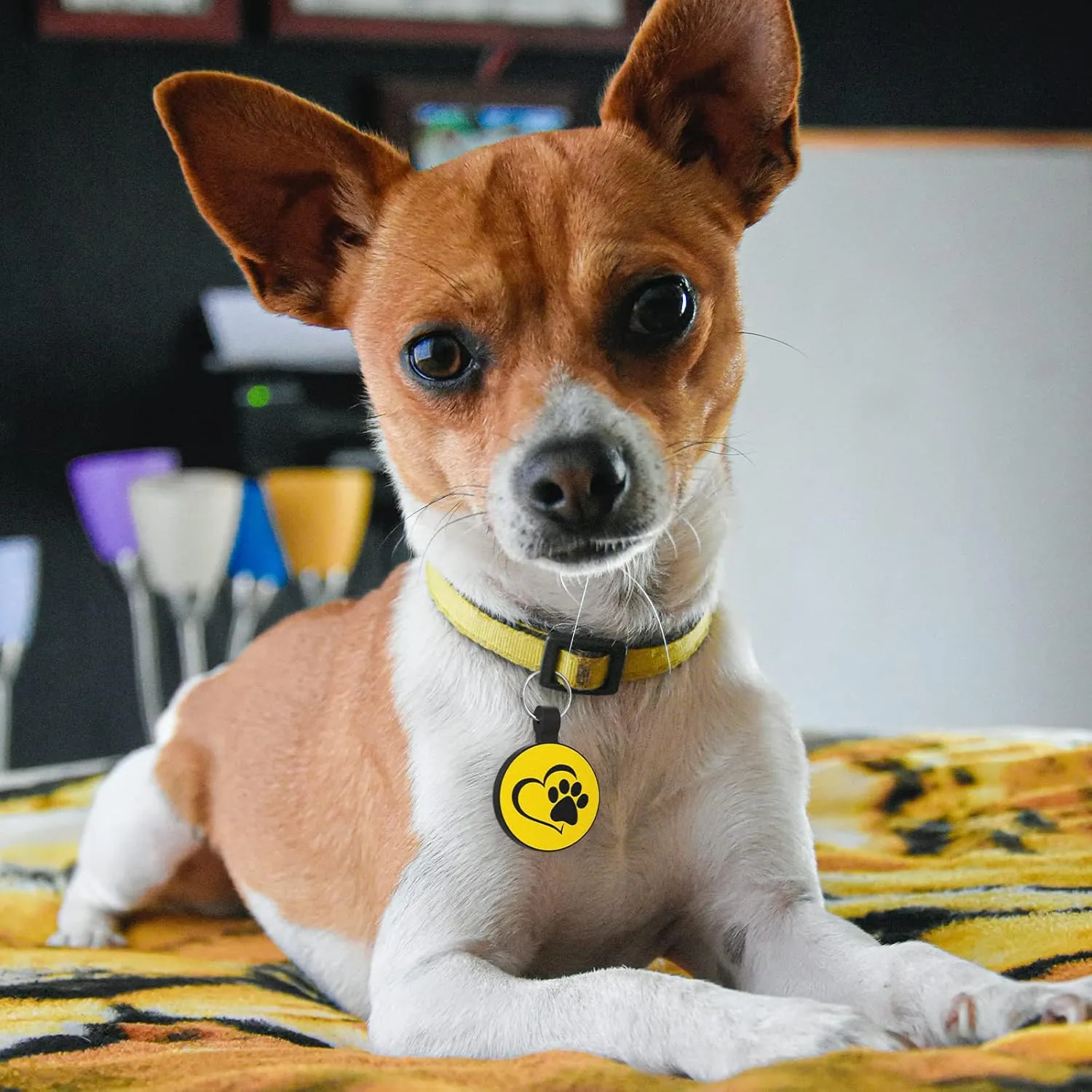 MYLUCKYTAG QR Code Silicone Pet ID Tag for Dogs and Cats - Online Profile, Location Alert Email, Digital Tag, Quiet and Durable Collar Tag, Engraved