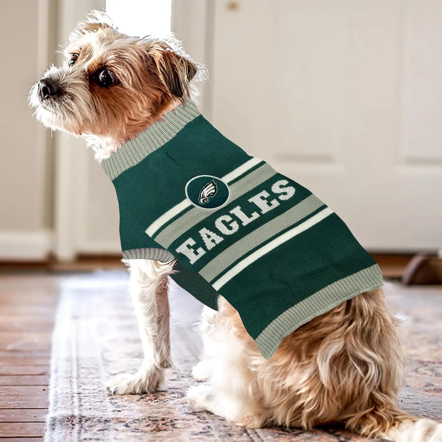 NFL Philadelphia Eagles Dog Sweater, Size Small. Warm and Cozy Knit Pet Sweater with NFL Team Logo, Best Puppy Sweater for Large and Small Dogs