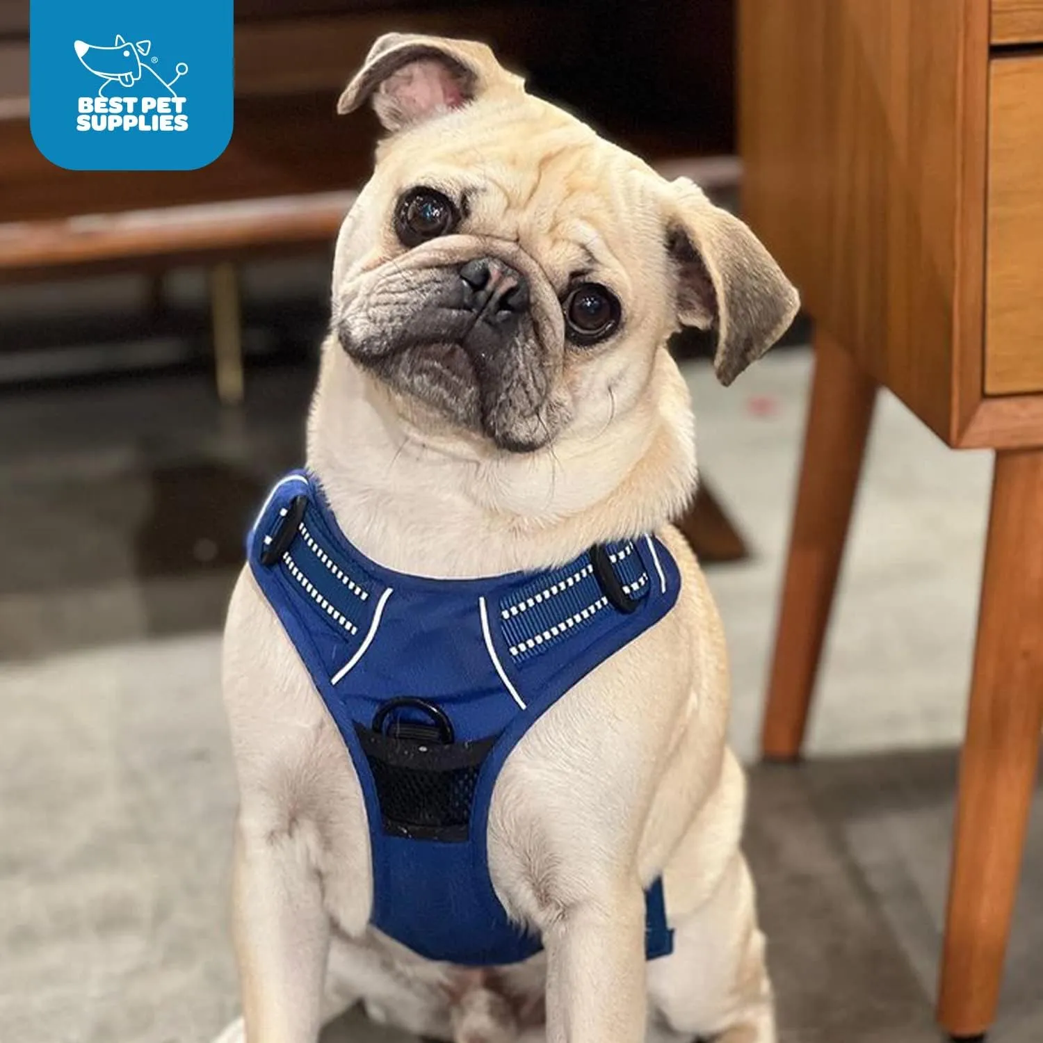 No Pull Dog Harness for Small Dogs, Dual Leash Attachments, Adjustable Soft but Strong Pet Harness with 3M Reflective Technology, Royal Blue Lattice Nylon, S (Chest: 16-20")