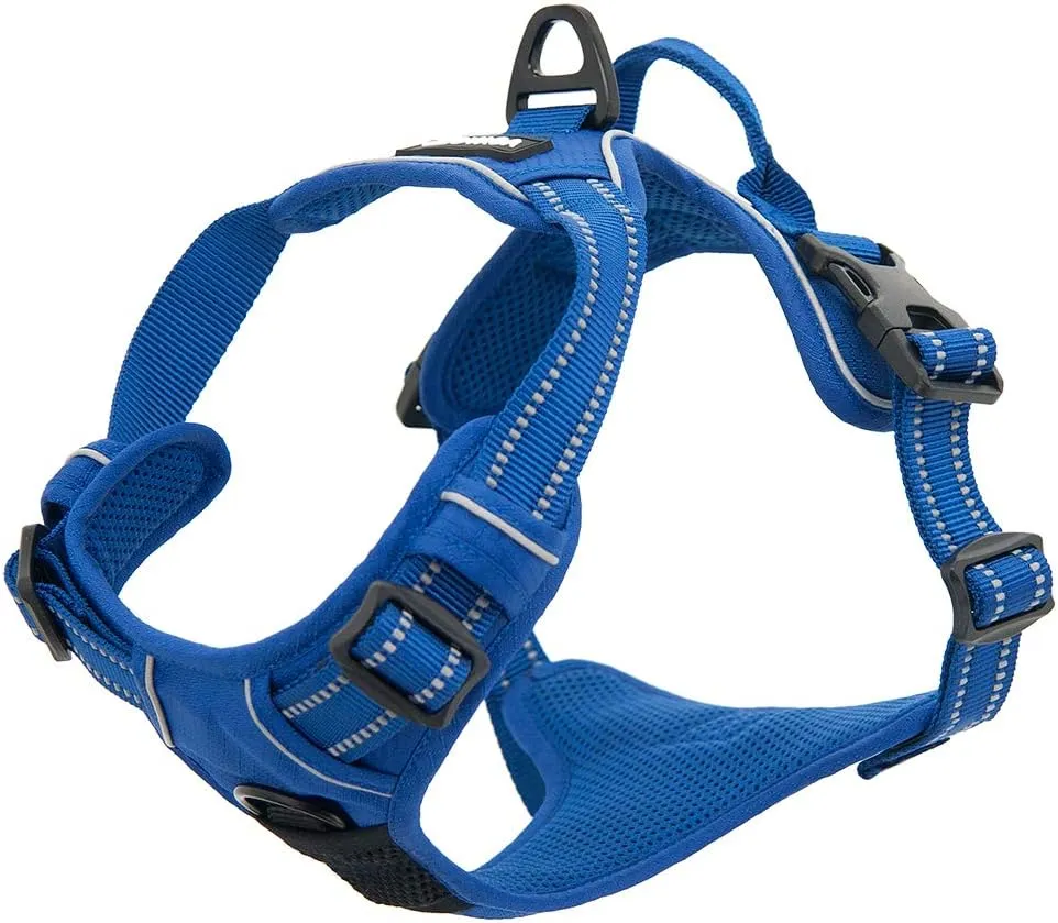 No Pull Dog Harness for Small Dogs, Dual Leash Attachments, Adjustable Soft but Strong Pet Harness with 3M Reflective Technology, Royal Blue Lattice Nylon, S (Chest: 16-20")