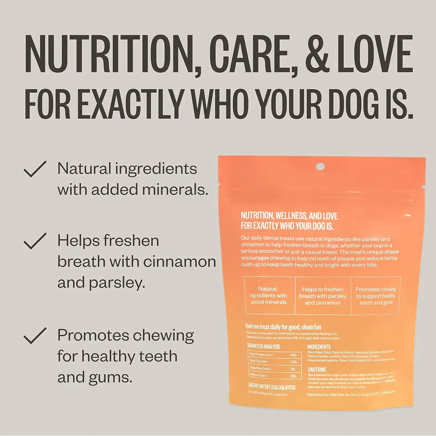 Ollie Dental Chews for Small Dogs, 12 Oz, Fresh Breath, Teeth Cleaning Treats, Sticks for Dog Oral Care, with Parsley and Cinnimon, for Pups 16-25 lbs
