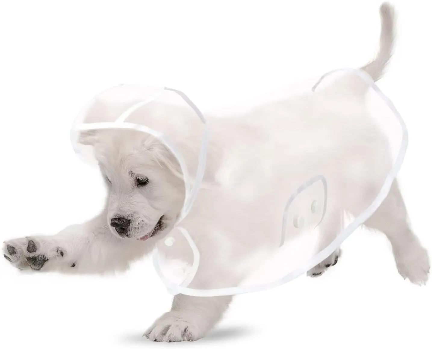 Puppy Raincoat for Small Dogs Transparency Pet Raincoat Waterproof Cloak Pet Hooded Raincoat Jacket,Size Medium