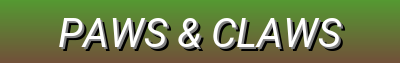 Pet Essentials, Limited Time Offers & New Products | Paws & Claws